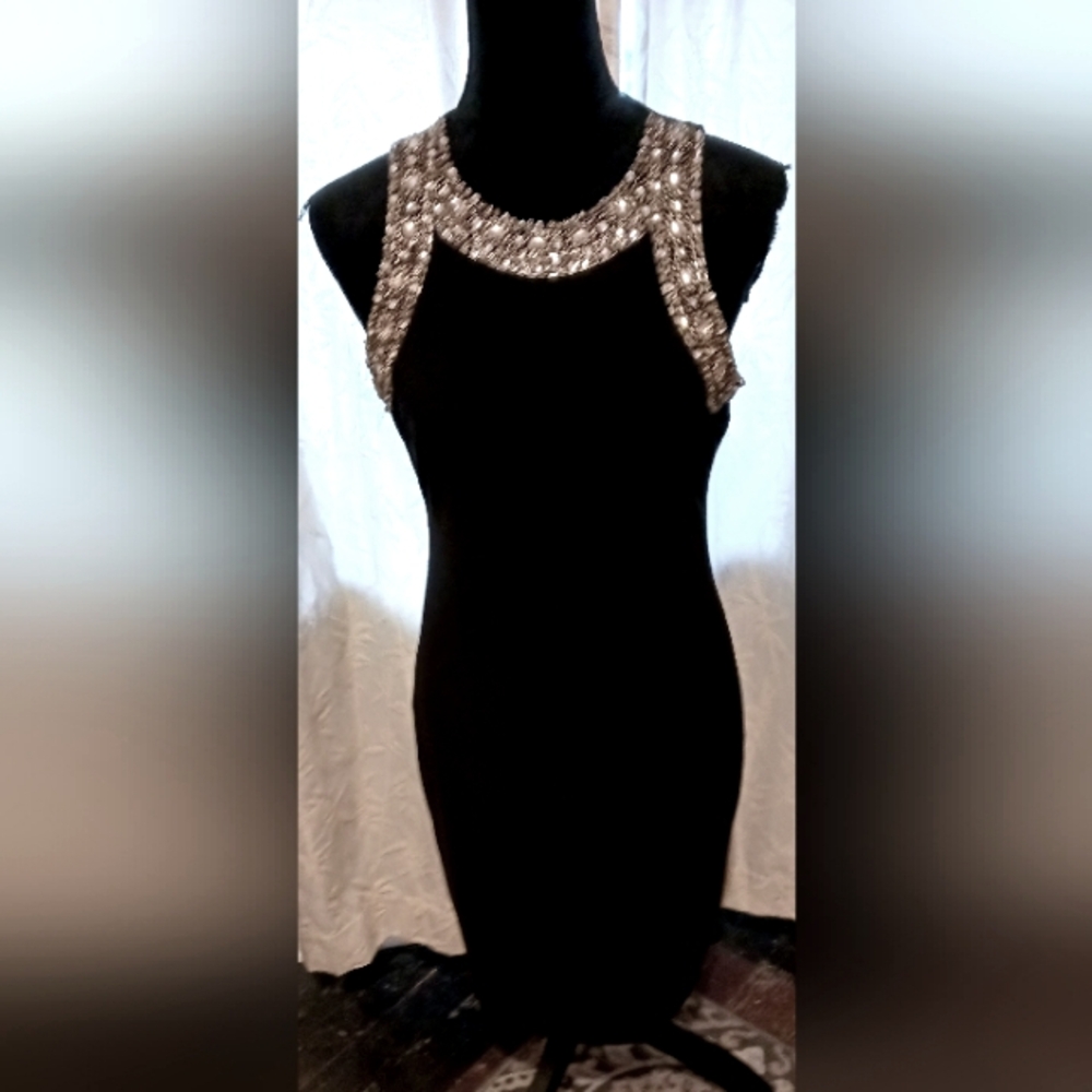 Beautiful Embellished Dress by SLNY - SL Fashions New York - Size 8
